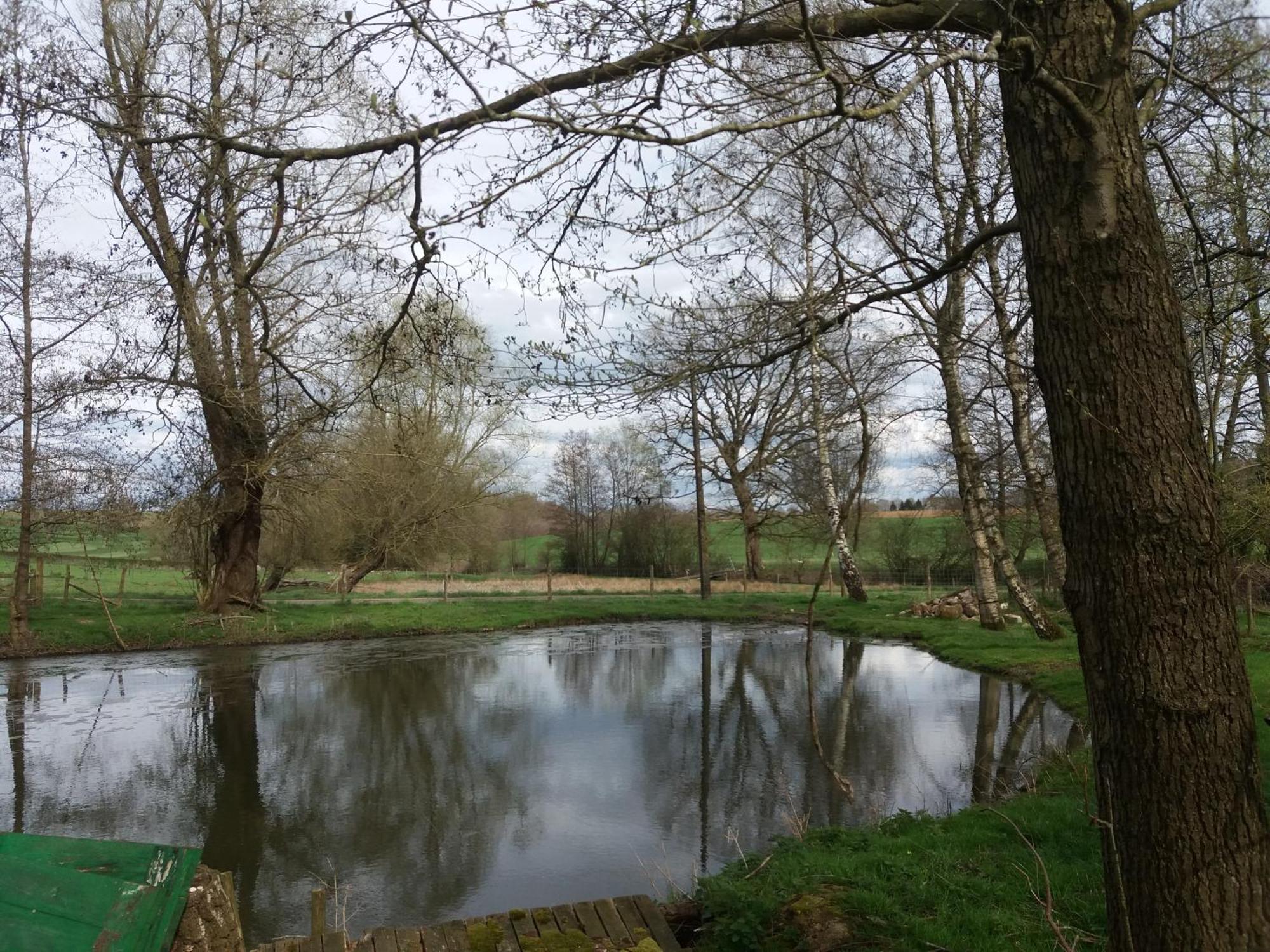 Ferienwohnung Le Sentier Des Etangs Barsy Exterior foto