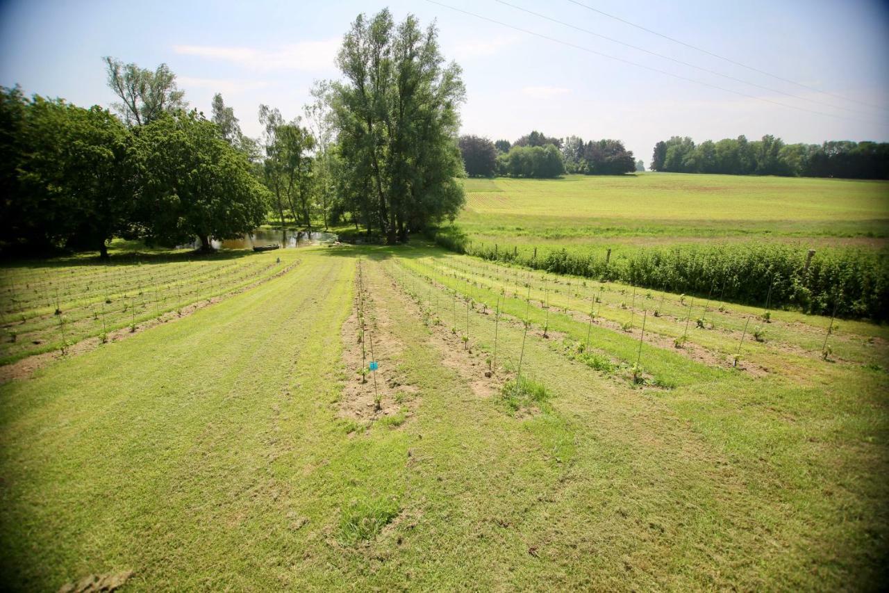 Ferienwohnung Le Sentier Des Etangs Barsy Exterior foto